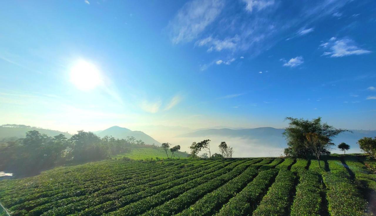 Cloud Canopy - Tea Garden Family Pool Cottage In バガモン エクステリア 写真